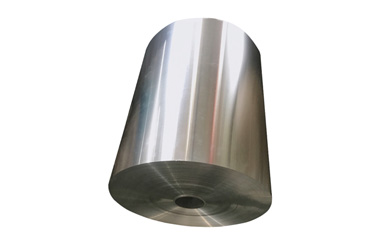 Stainless Steel 301